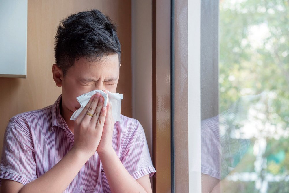 how duct sanitizing helps with allergies